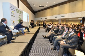 Making Sustainable Alternative Fuels Viable in Brazil