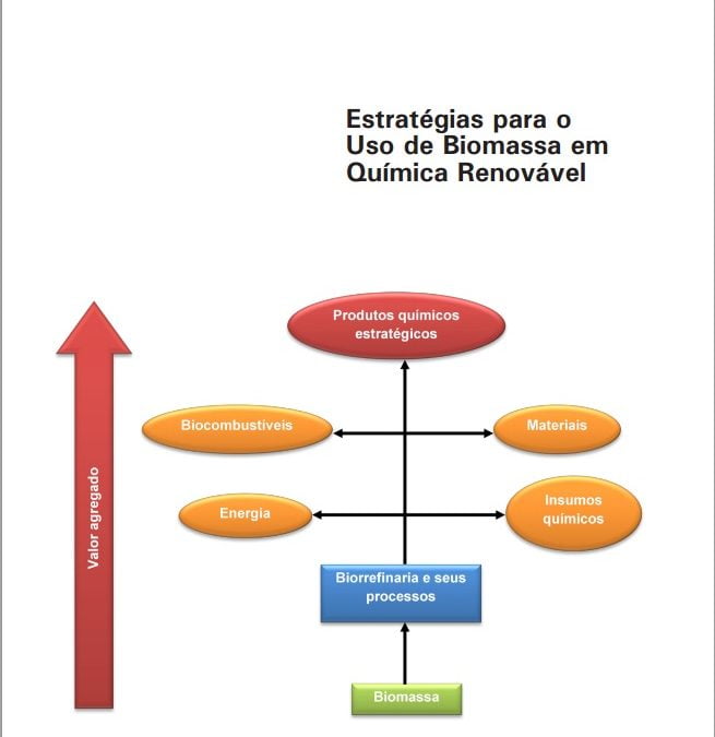 Documento aborda uso de biomassa em química renovável