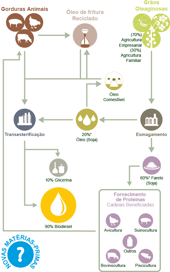 Cadeia Produtiva do Biodiesel