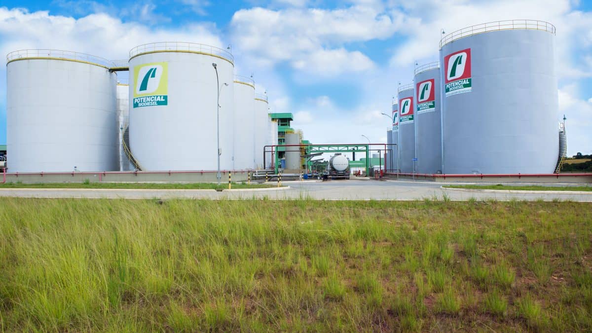 Potencial Biodiesel avança para a liderança na produção mundial do combustível via transesterificação