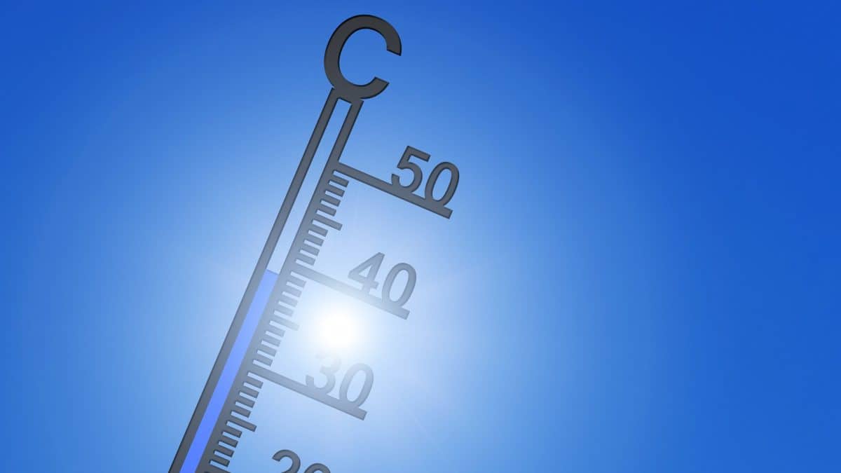 Sem ação, temperaturas podem subir de 3 a 5 graus Celsius neste século, diz representante da ONU