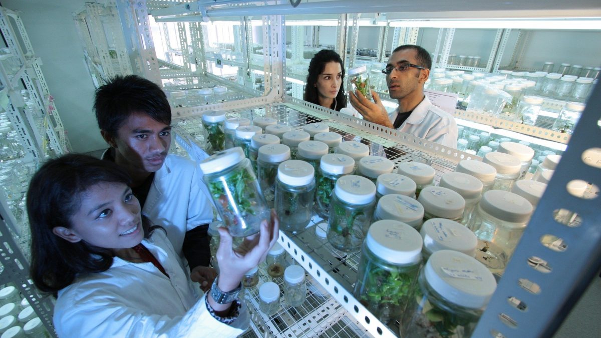 ARTIGO-Próxima parada: revolução biotecnológica