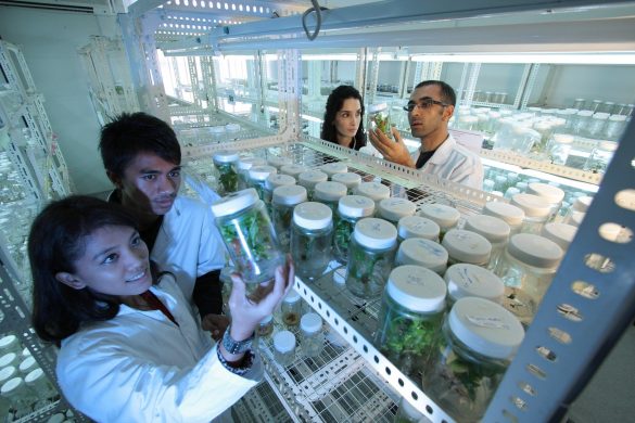 biotecnologia, revolução biotecnológica