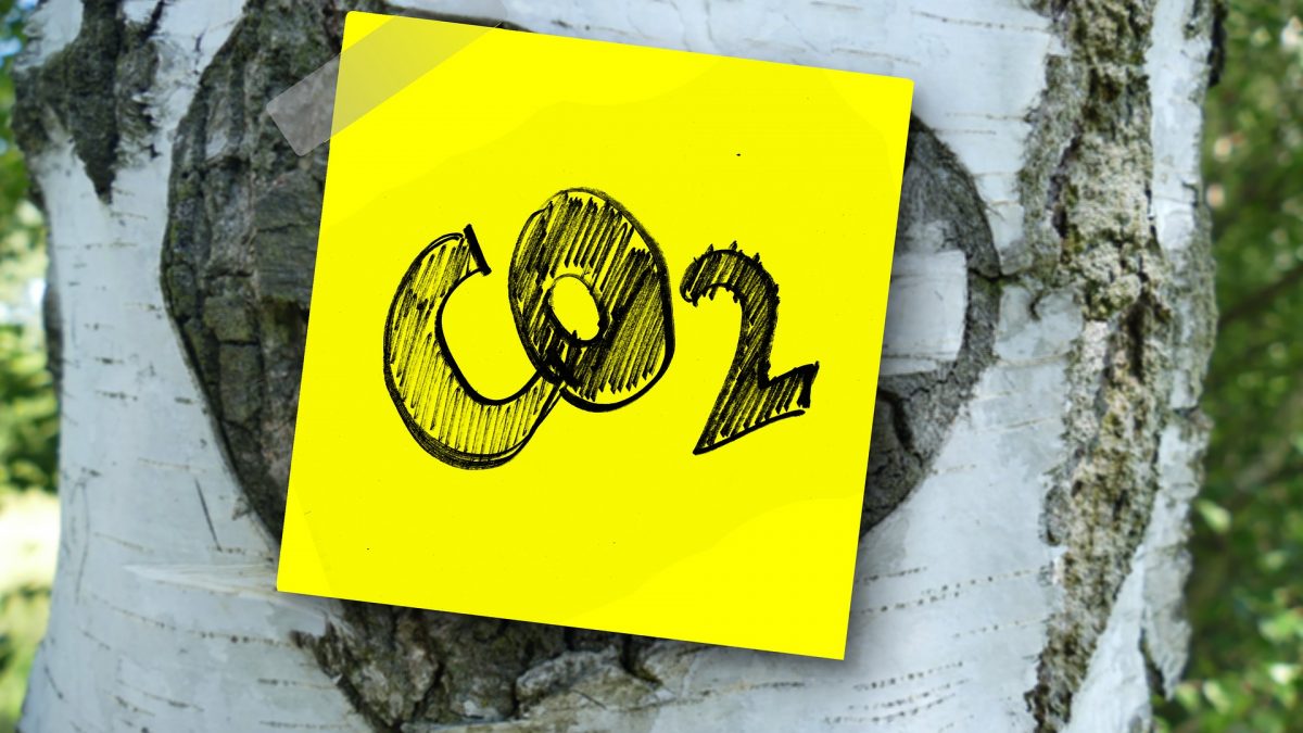 Robô calcula suas emissões de CO₂ e ensina a reduzir a pegada. Saiba como