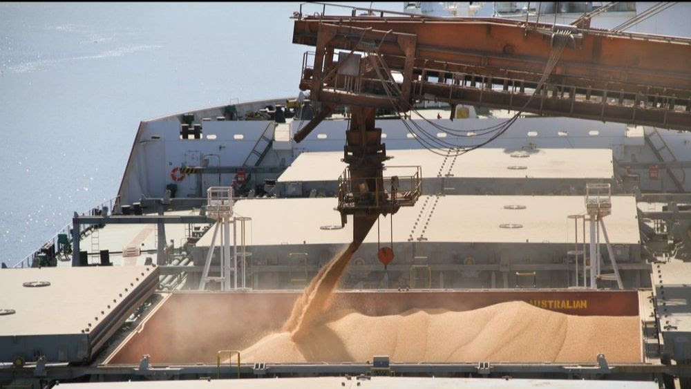 Clipping 1ª edição: Brasil deve exportar este mês 225,5 milhões de toneladas de soja e 1,18 milhões de toneladas de farelo