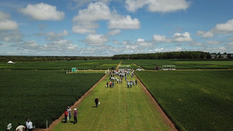 Clipping 2ª edição: Agropecuária recebeu R$ 1,7 bilhão do programa Crédito Rural em 2020