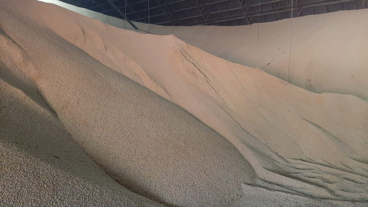 Clipping Ubrabio 2ª edição: Exportações de soja rendem receita de US$ 25,6 bi no primeiro semestre