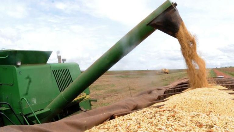 Clipping Ubrabio 2ª edição: Conab estima produção de grãos em 260,8 milhões de toneladas na safra 2020/2021