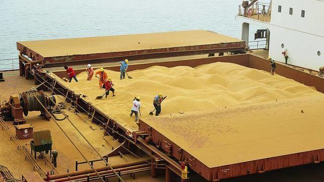 Clipping 2ª Edição: Brasil pode exportar até 6 mi de t de soja em agosto e disputa entre demanda interna e externa se aquece