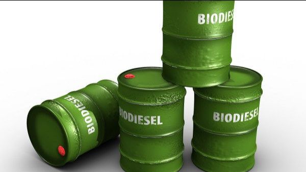 Clipping 1ª Edição: Mandato de biodiesel em discussão no CNPE