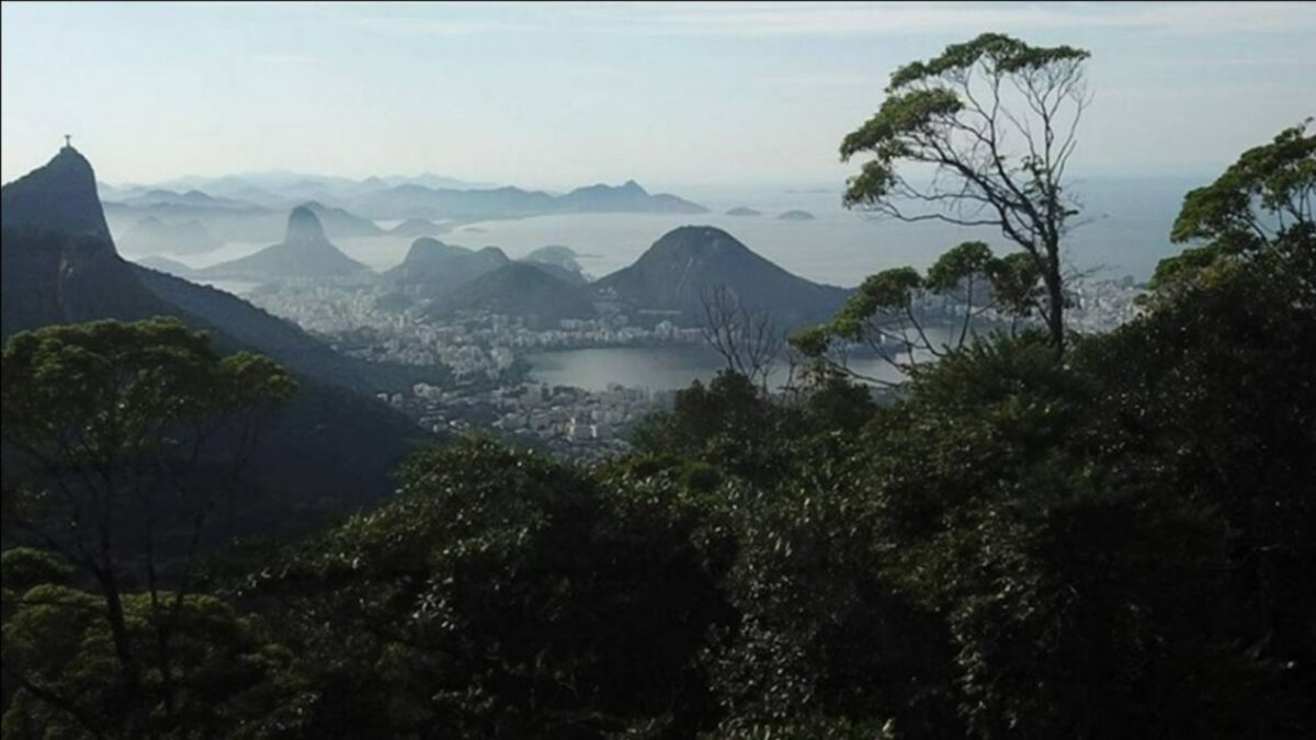 Clipping 1ª Edição: Rio fará primeiro leilão do mundo de créditos de carbono oriundos de micromobilidade