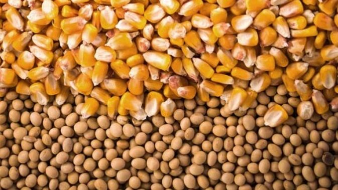 📰 Clipping 2ª Edição: Anec reduz estimativa para embarques de milho e soja em outubro