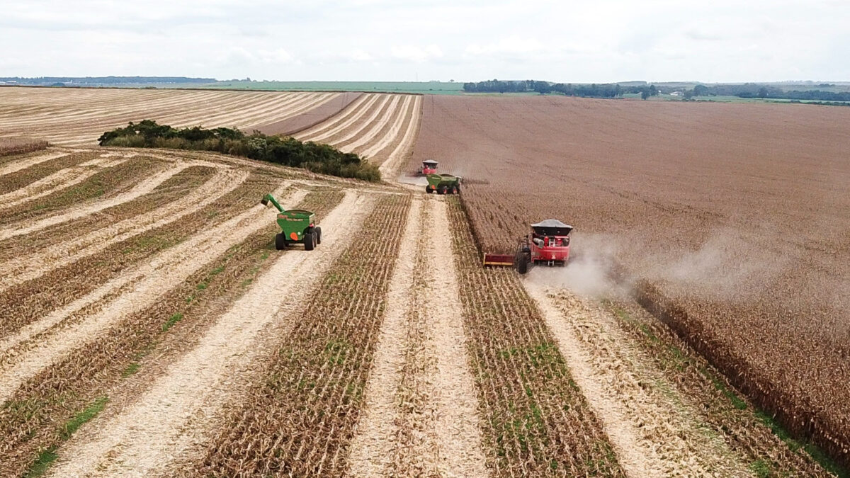 Clipping 2ª Edição: Agricultura estima valor bruto de produção em 2023 de R$ 1,265 trilhão, 6,1% acima de 2022