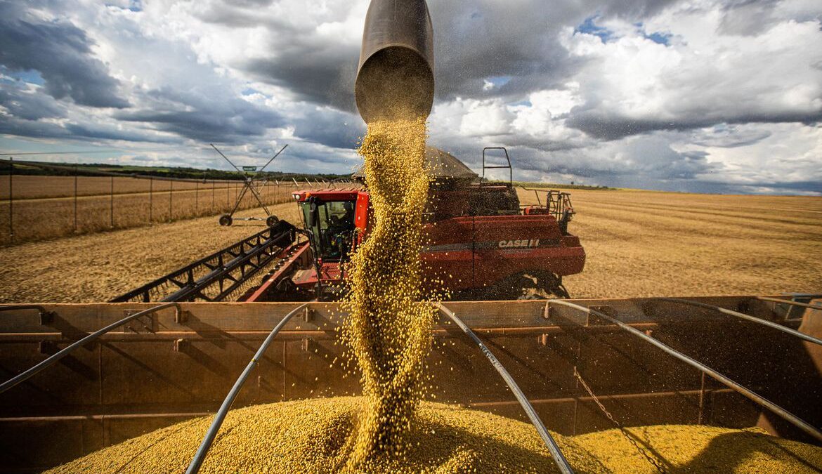 Clipping 1ª Edição: Brasil tem produtividade recorde na soja apesar de seca no RS e recuo em fertilizante