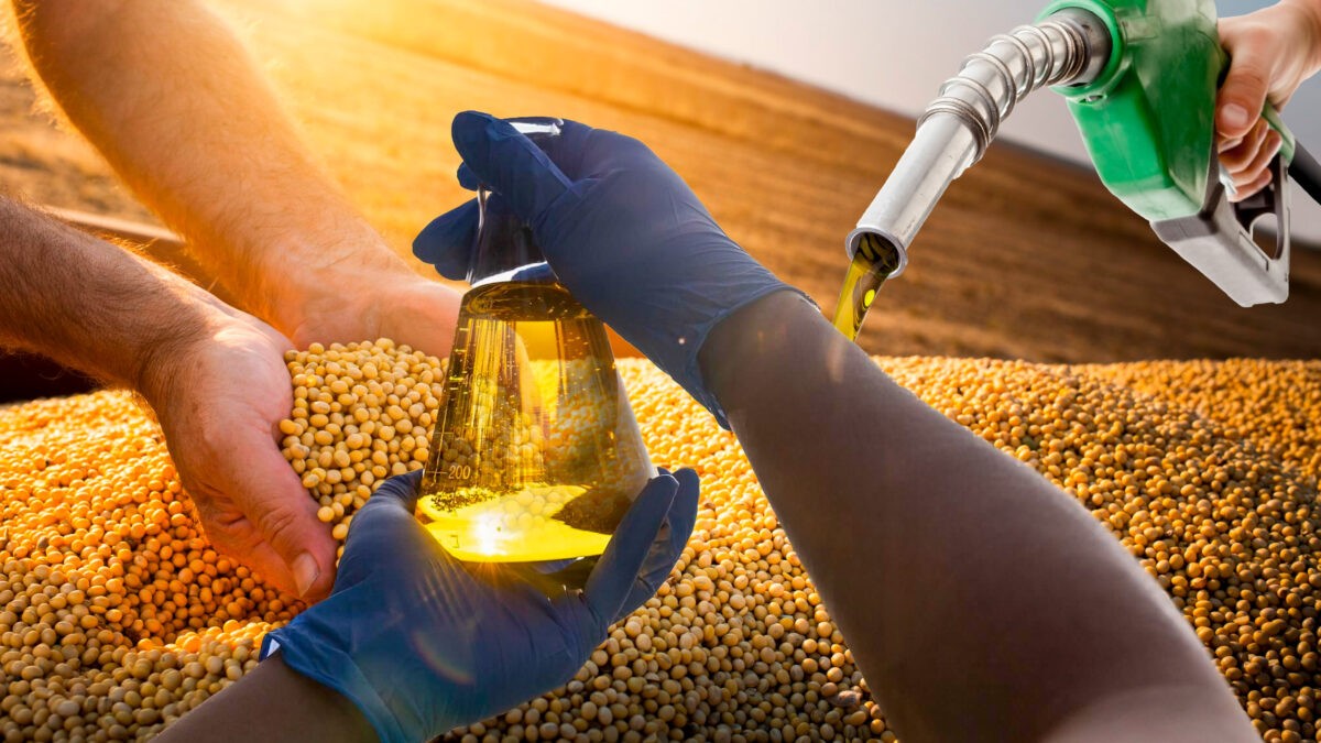 📰 Clipping 1ª Edição: País quer expandir agenda de biocombustíveis no G20