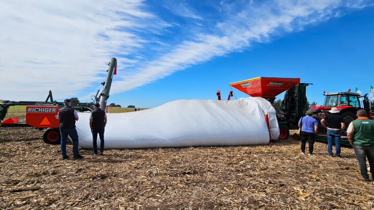 Inovações em aditivos plásticos protegem safra de soja e garantem qualidade do grão no armazenamento