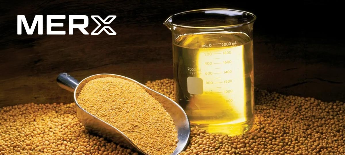 Oferta elevada e dinâmica do óleo sustentam mercado de soja em cenário altista