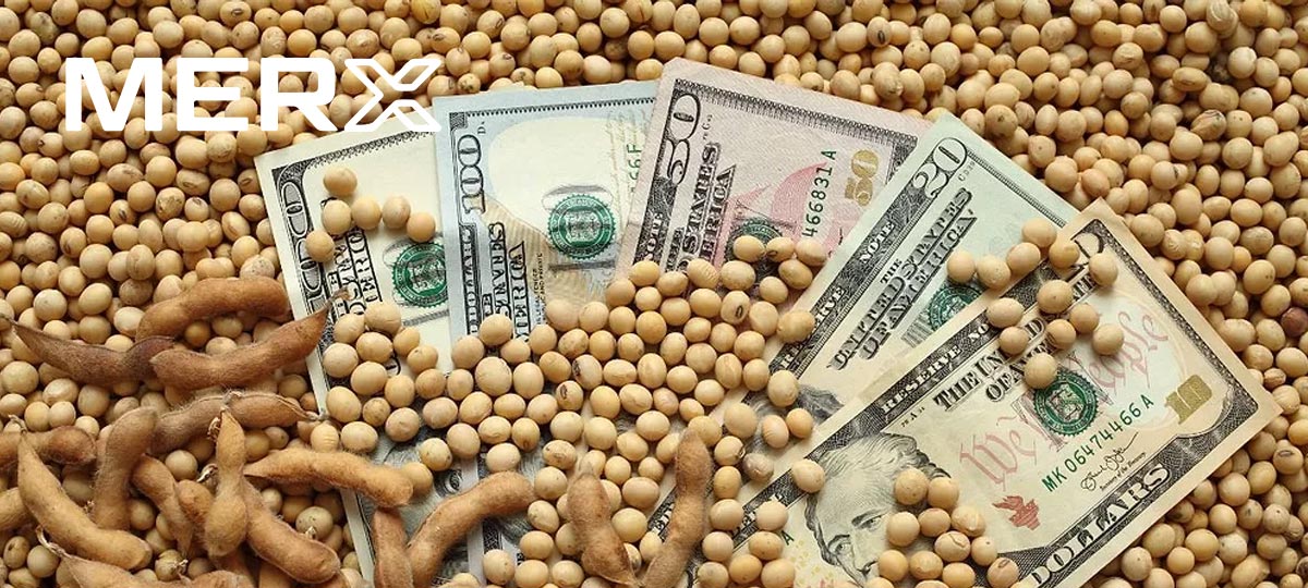 Mercado de soja encontra suporte em custos e derivados