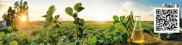 Biodiesel Week https://biodieselweek.com.br/