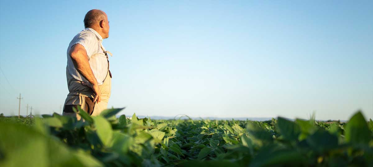 Avanço da produção de biodiesel impulsiona renda no campo e economias locais